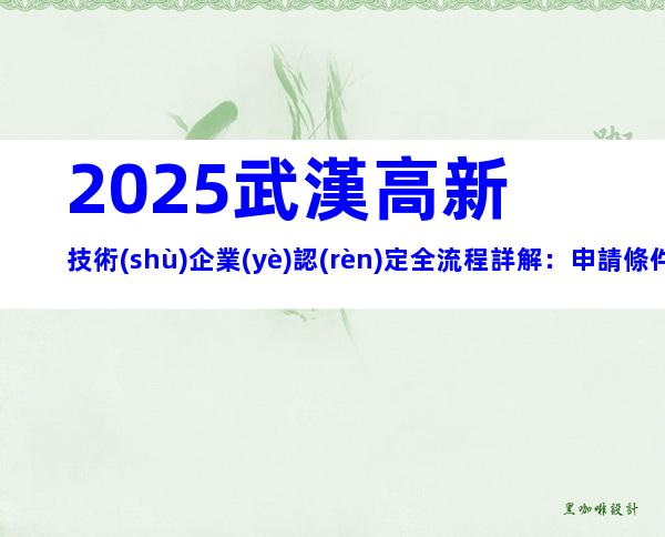 2025武漢高新技術(shù)企業(yè)認(rèn)定全流程詳解：申請條件與材料清單一覽