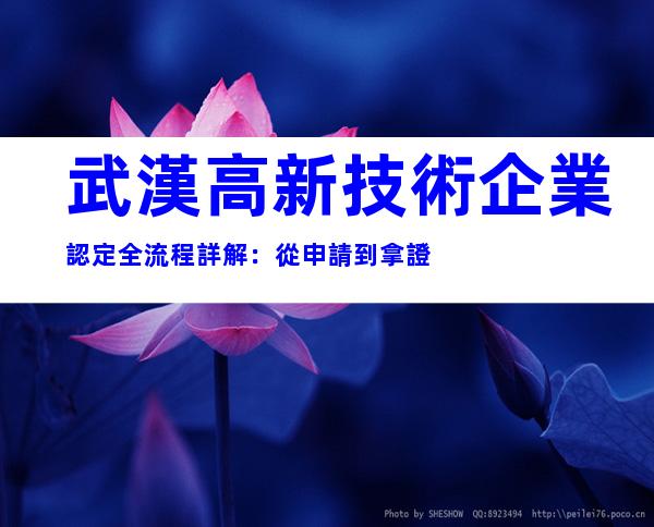 武漢高新技術企業認定全流程詳解：從申請到拿證