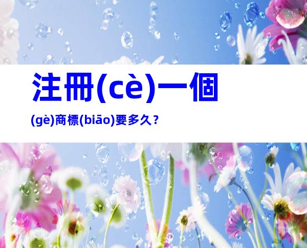 注冊(cè)一個(gè)商標(biāo)要多久？